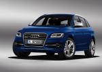 Audi SQ5 TDI 2013 года (WW)